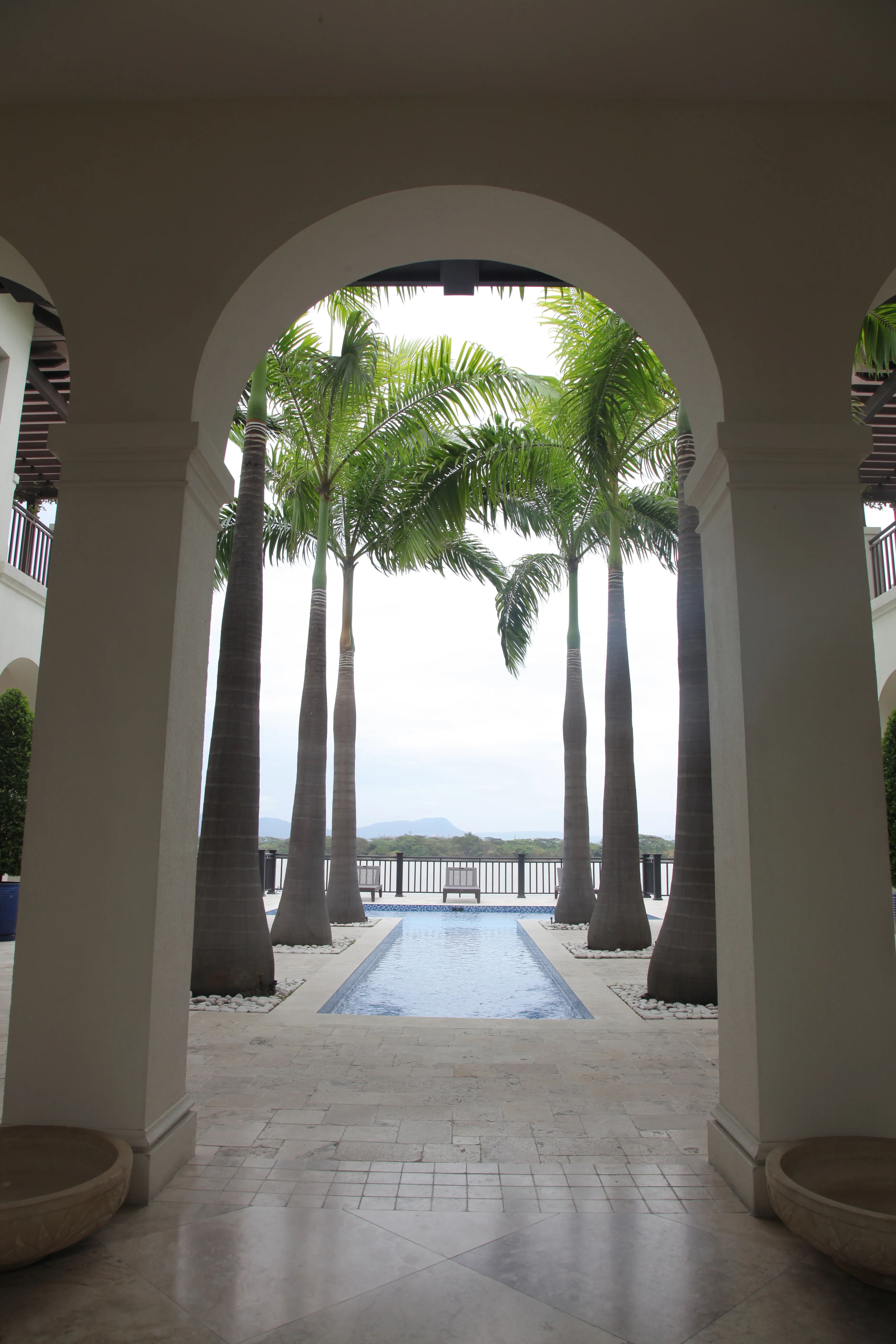 Eje de ingreso enmarcando las palmeras y la piscina