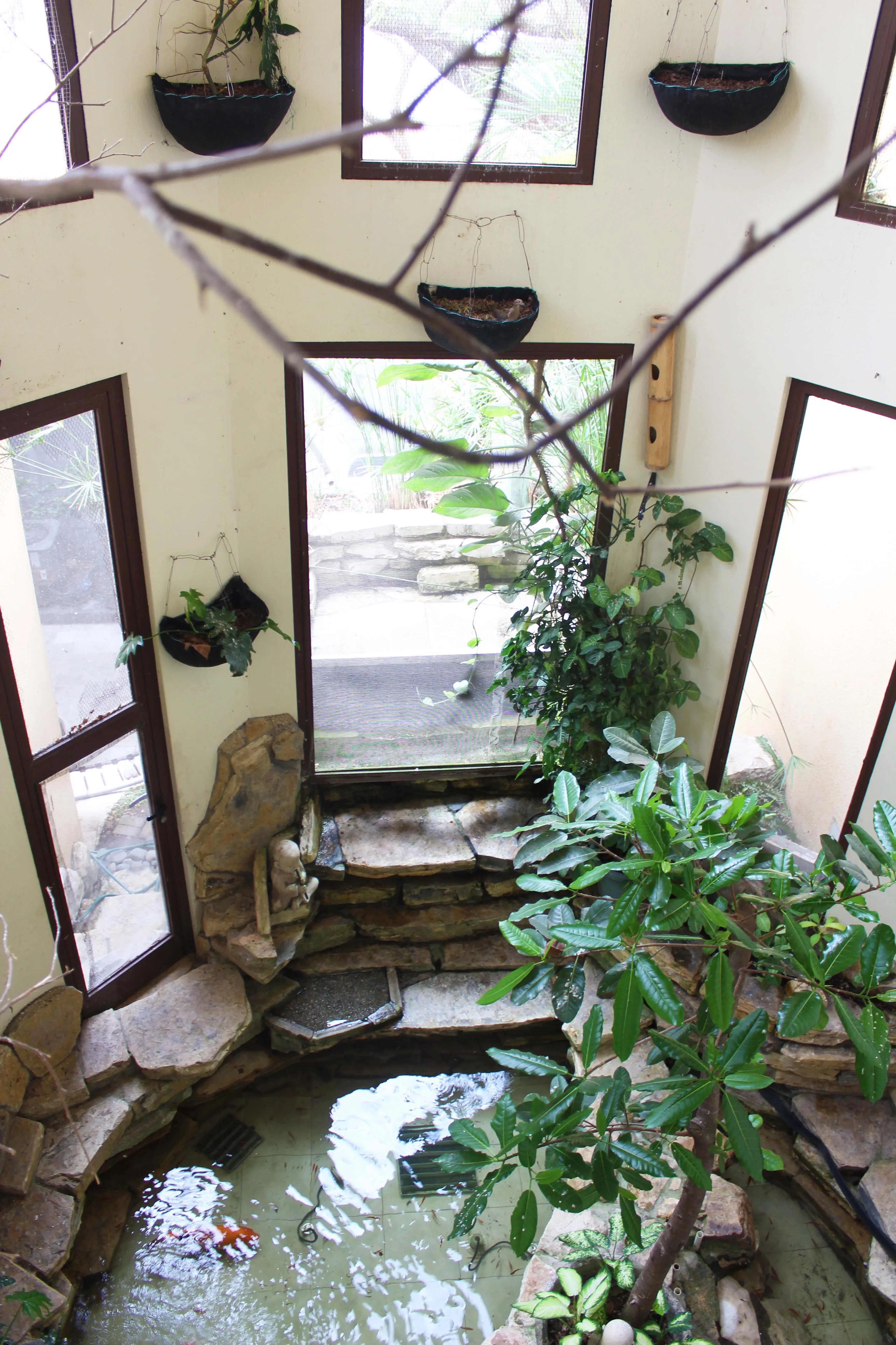 Jardín interior con agua, piedra y vegetación tropical