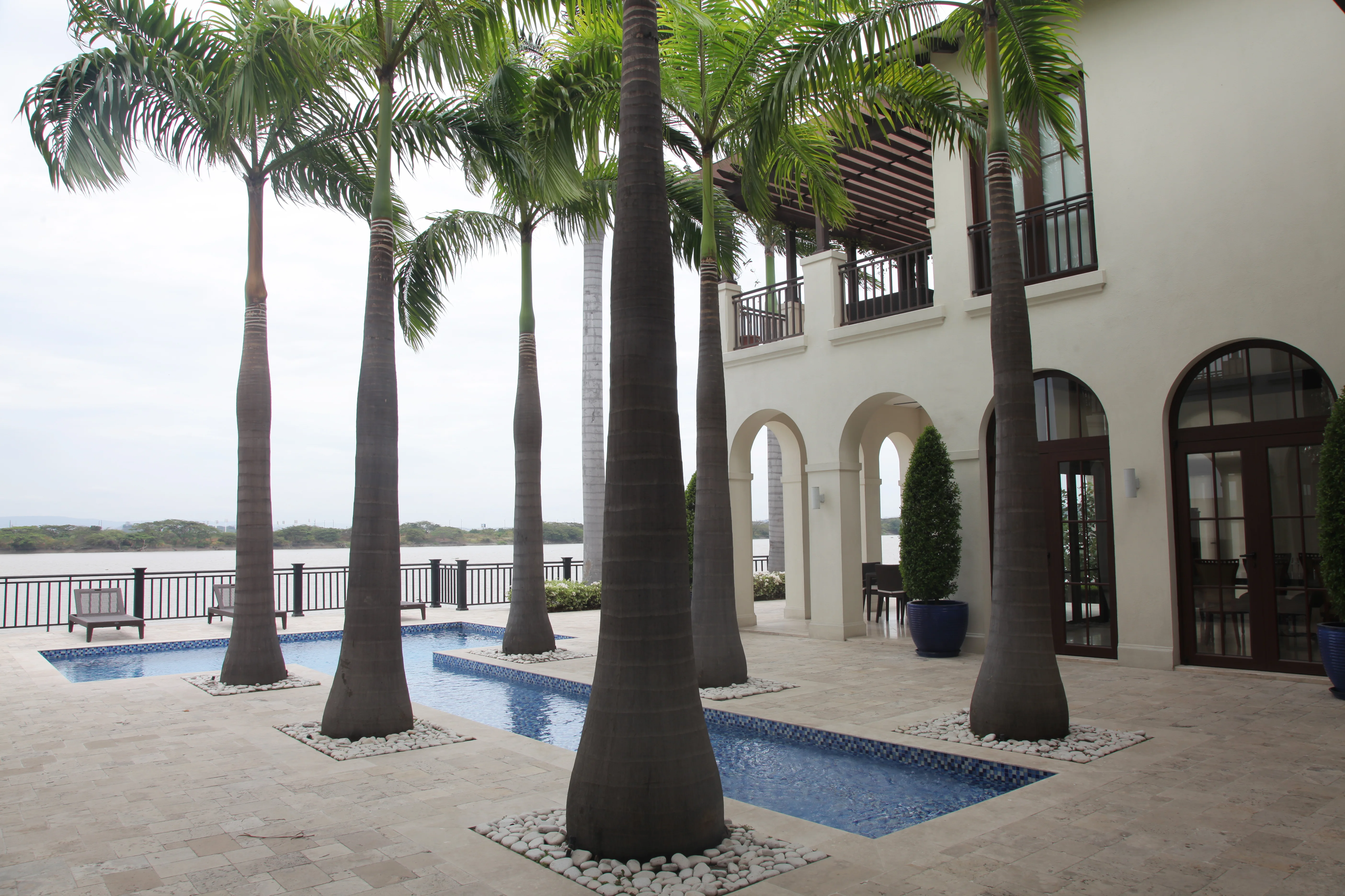 Patio central y piscina rodeados de palmeras