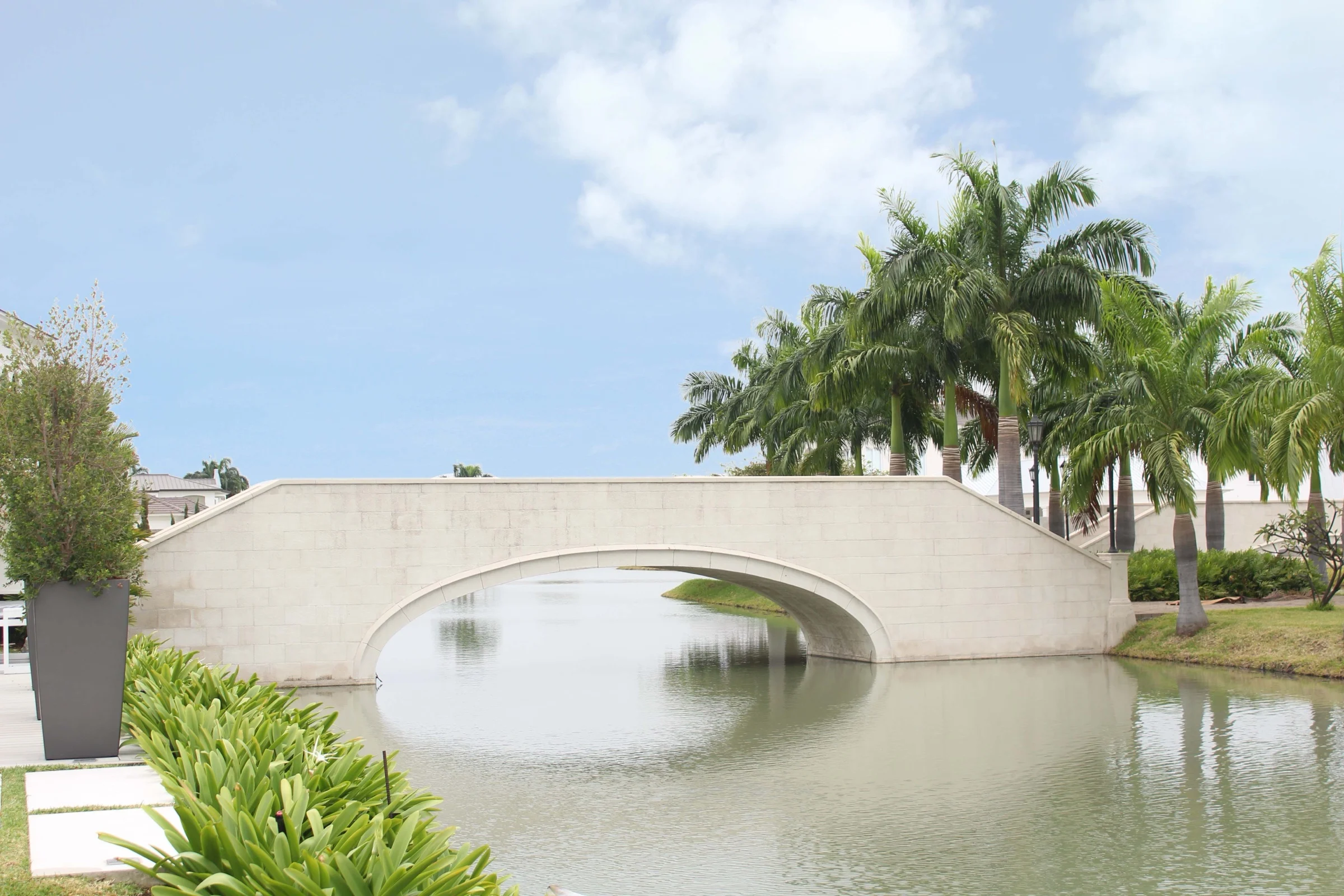 Puente y paisaje urbano del proyecto Plaza Lagos